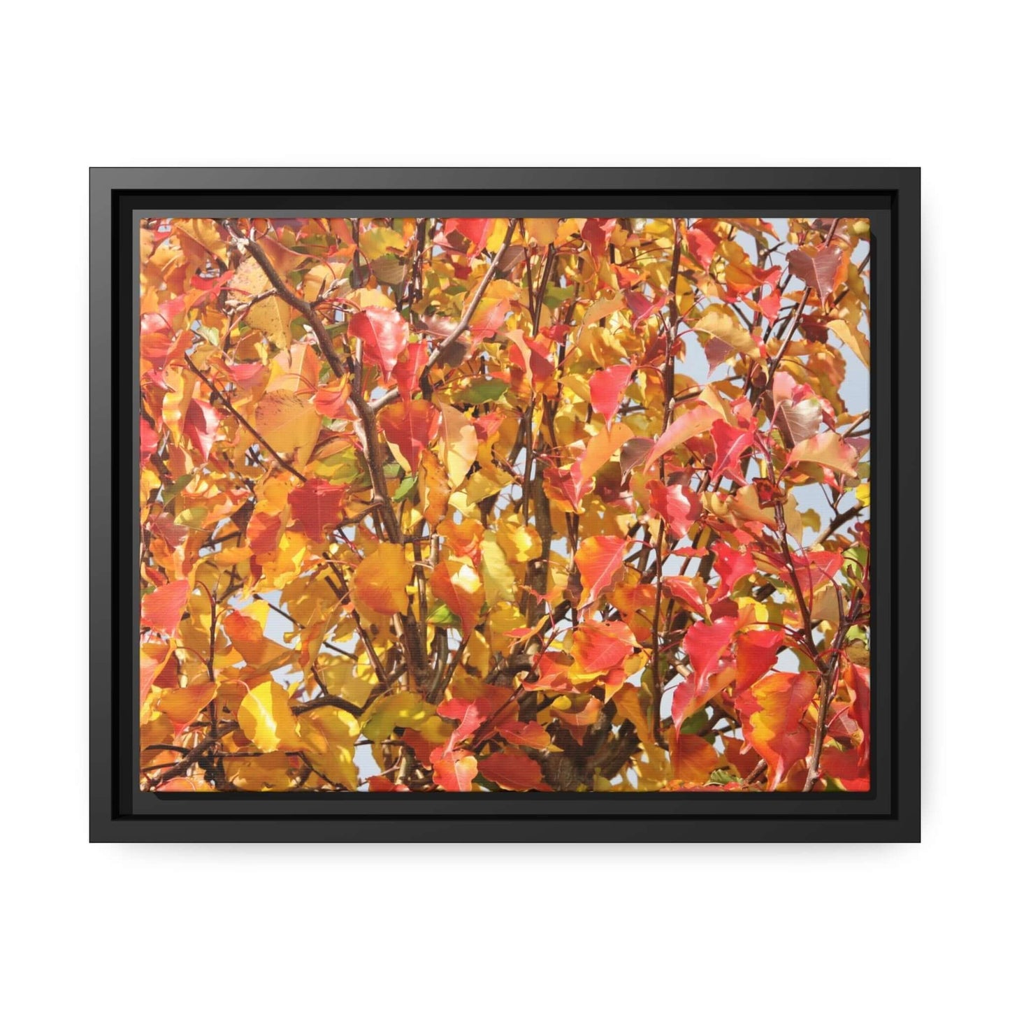 Autumn leaves Photo Canvas with Black Frame Canvas JSCHAFFA.com