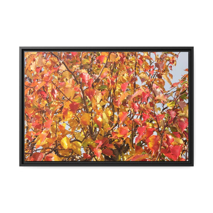 Autumn leaves Photo Canvas with Black Frame Canvas JSCHAFFA.com