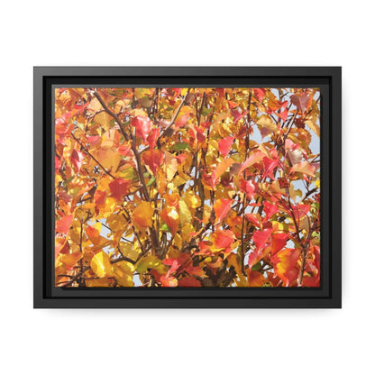 Autumn leaves Photo Canvas with Black Frame Canvas JSCHAFFA.com