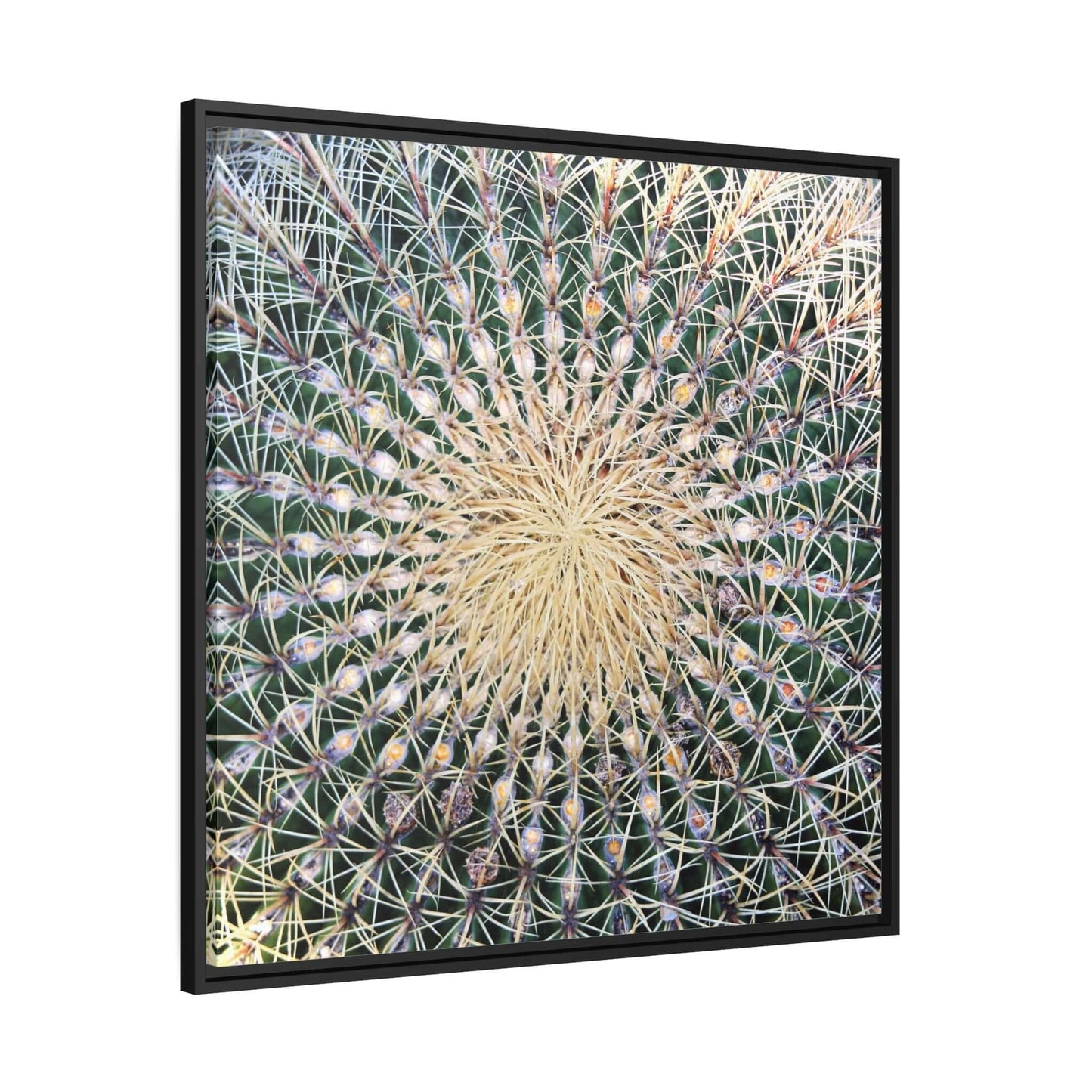 Cactus Wall aArt Matte Canvas With Black Frame Wall art JSCHAFFA.com