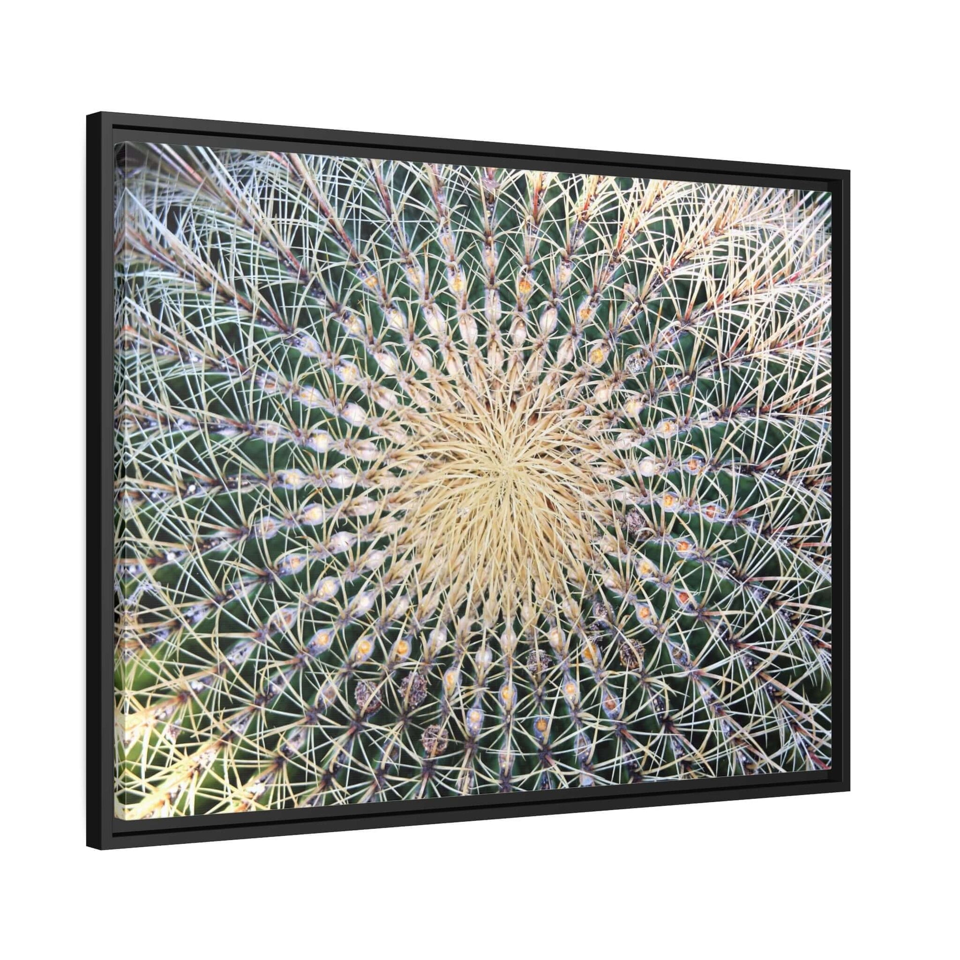 Cactus Wall aArt Matte Canvas With Black Frame Wall art JSCHAFFA.com