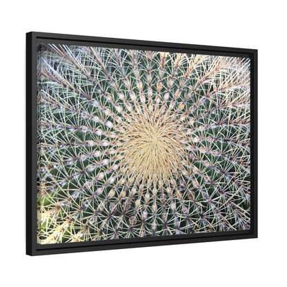 Cactus Wall aArt Matte Canvas With Black Frame Wall art JSCHAFFA.com