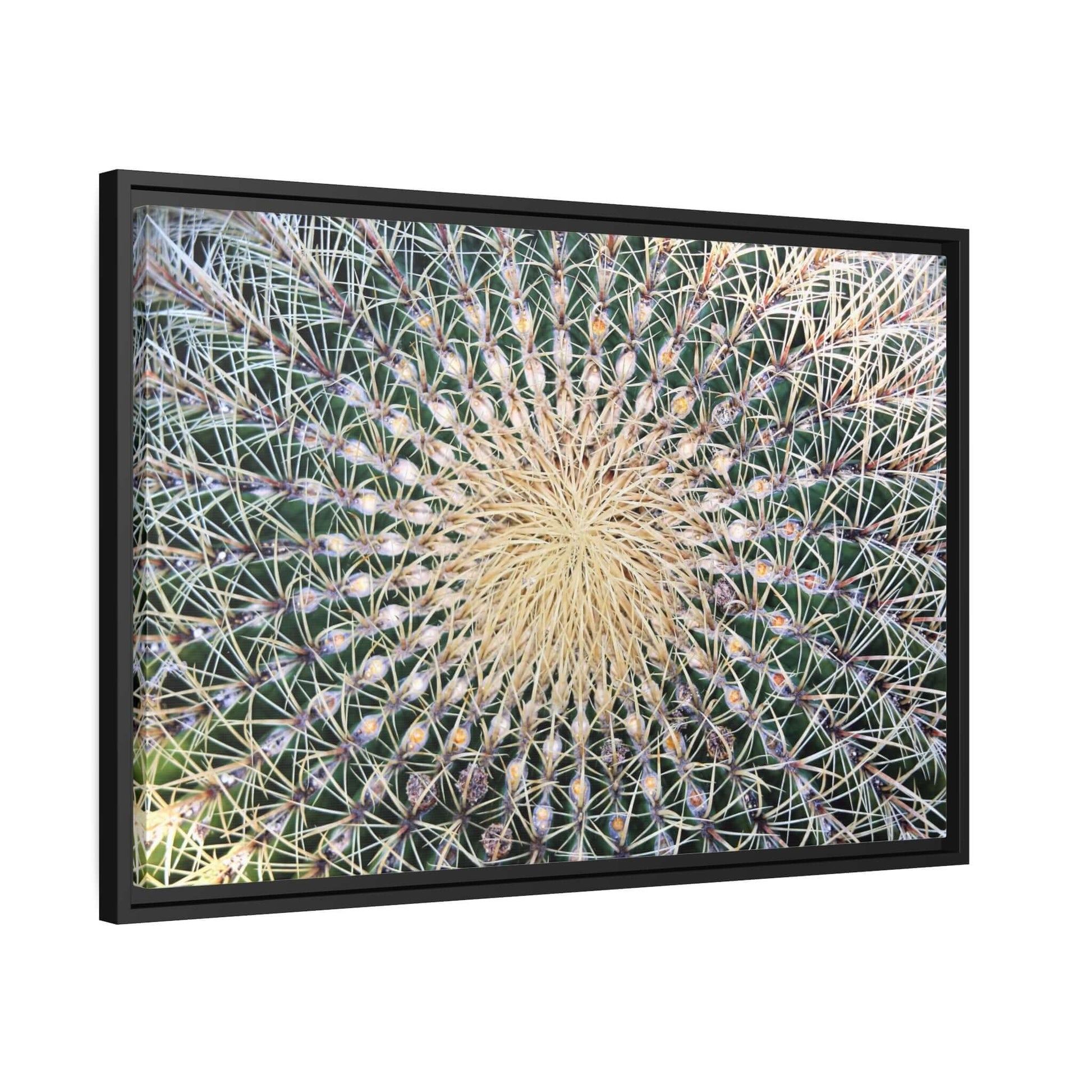 Cactus Wall aArt Matte Canvas With Black Frame Wall art JSCHAFFA.com