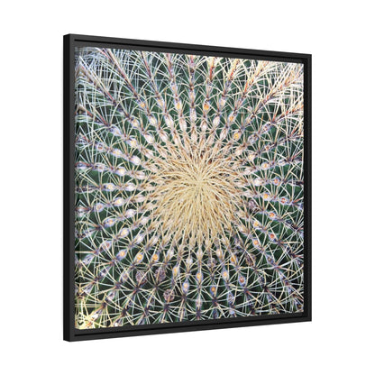 Cactus Wall aArt Matte Canvas With Black Frame Wall art JSCHAFFA.com