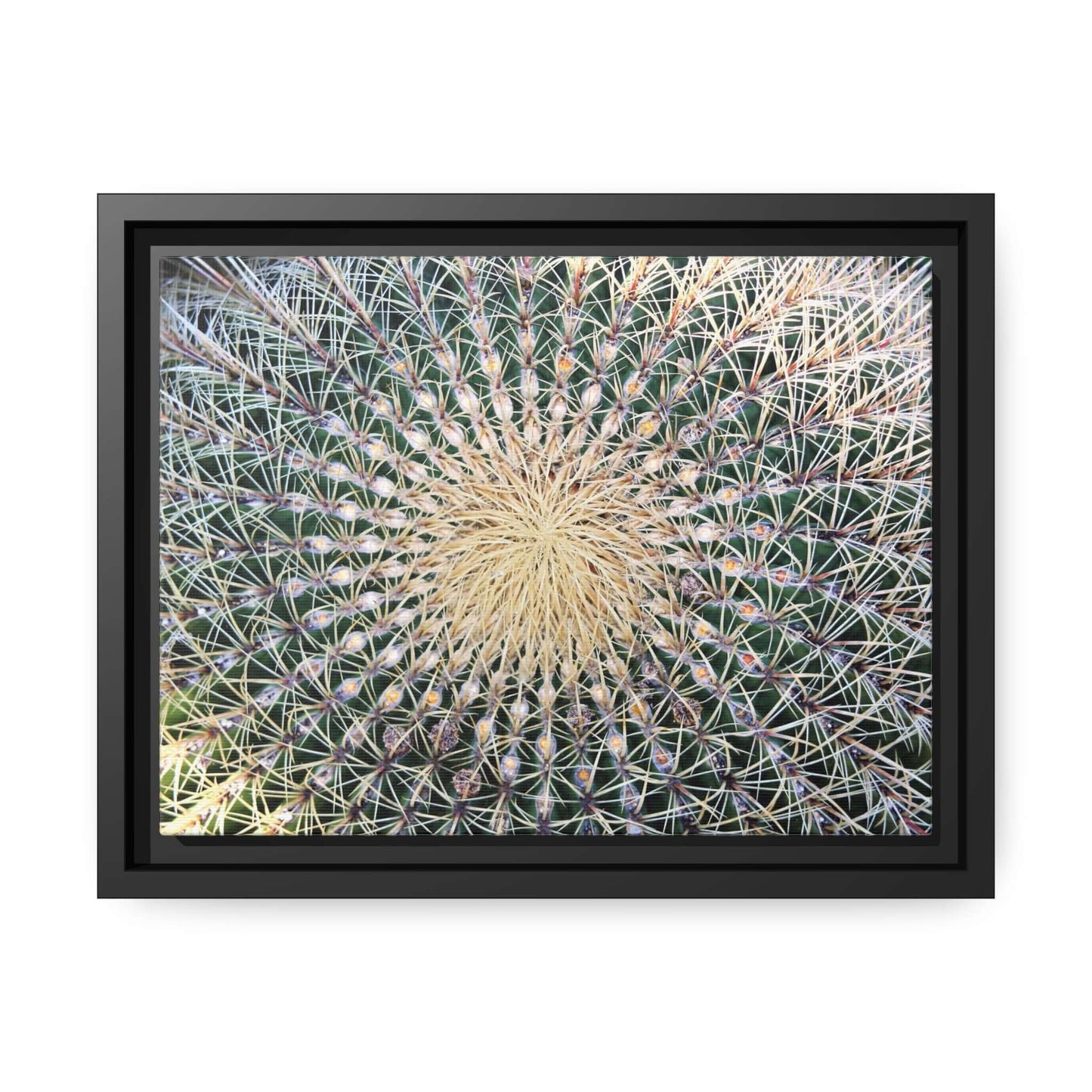 Cactus Wall aArt Matte Canvas With Black Frame Wall art JSCHAFFA.com