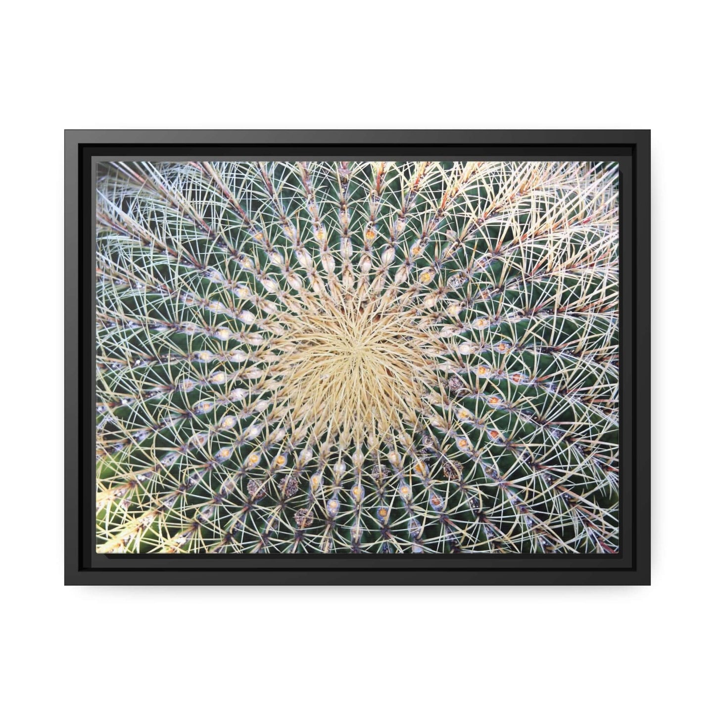 Cactus Wall aArt Matte Canvas With Black Frame Wall art JSCHAFFA.com