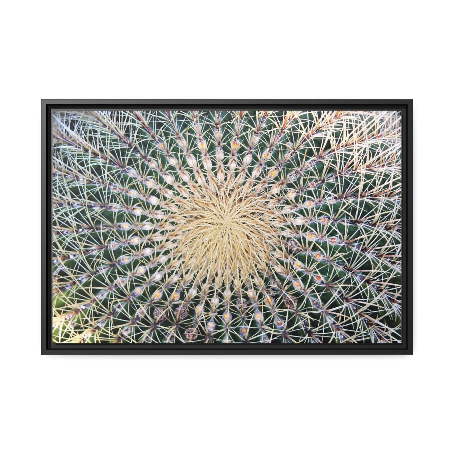 Cactus Wall aArt Matte Canvas With Black Frame Wall art JSCHAFFA.com