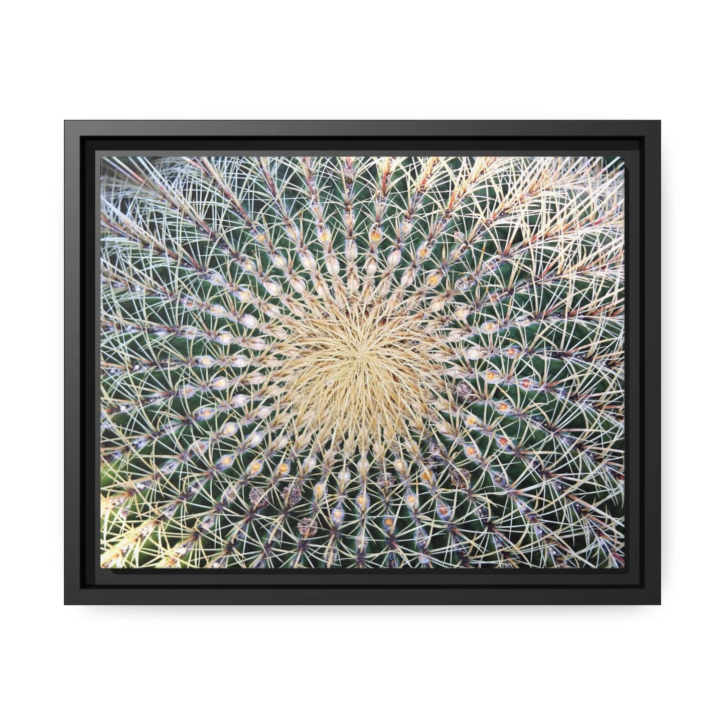 Cactus Wall aArt Matte Canvas With Black Frame Wall art JSCHAFFA.com