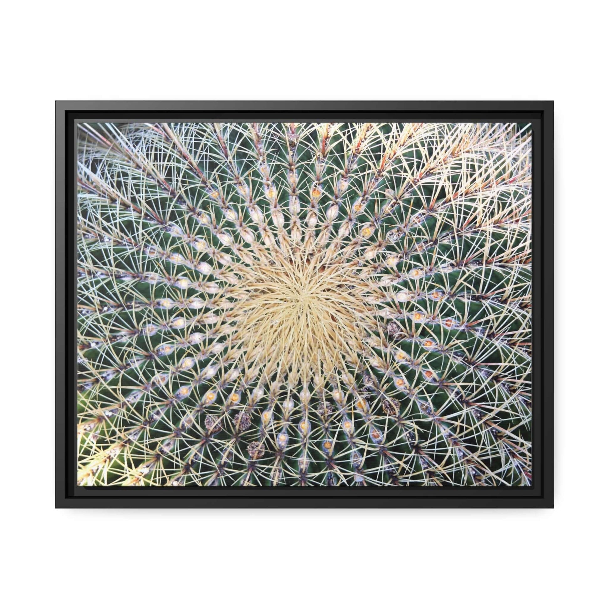 Cactus Wall aArt Matte Canvas With Black Frame Wall art JSCHAFFA.com