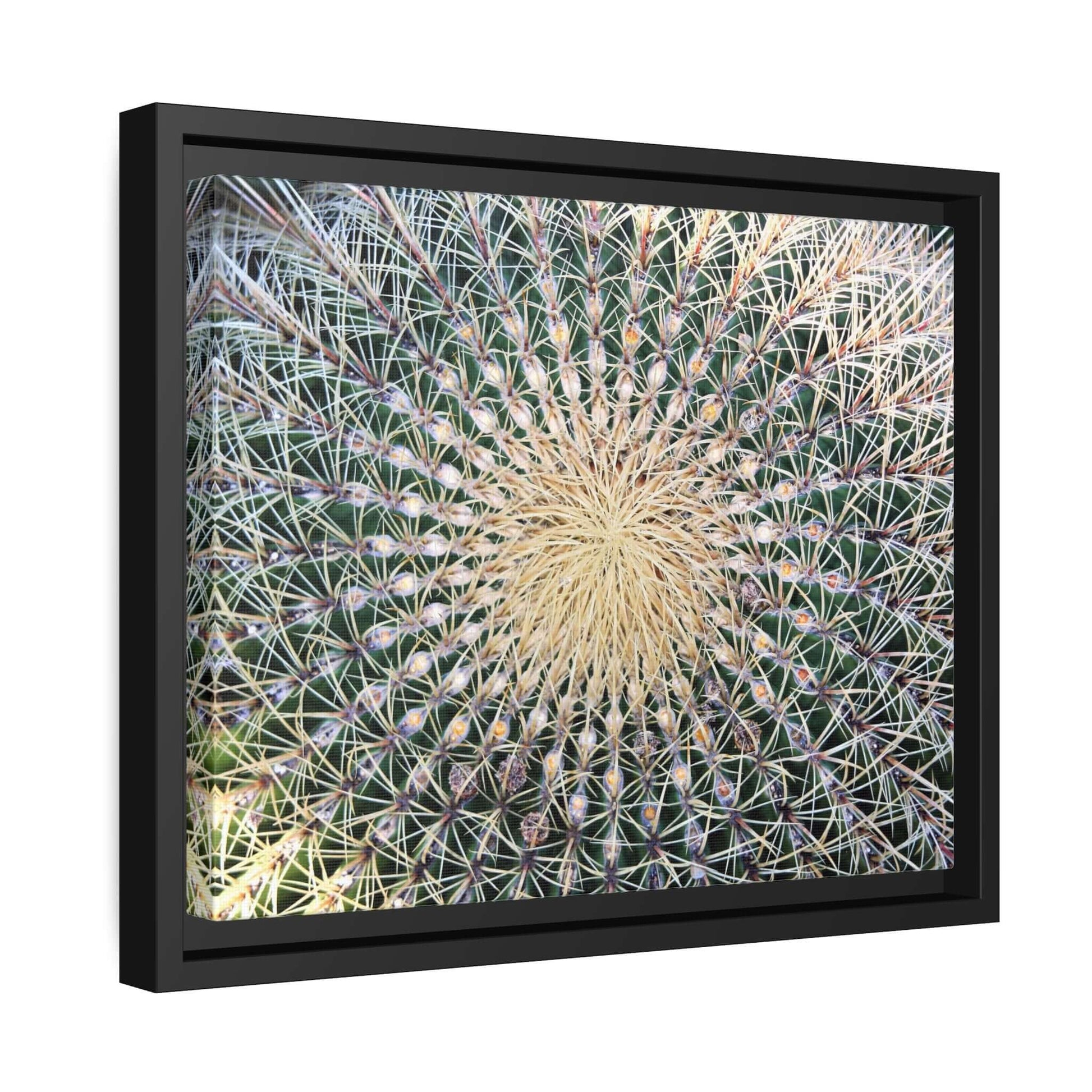 Cactus Wall aArt Matte Canvas With Black Frame Wall art JSCHAFFA.com