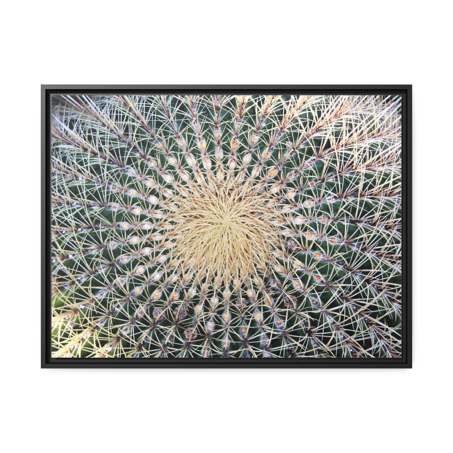 Cactus Wall aArt Matte Canvas With Black Frame Wall art JSCHAFFA.com